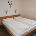 Astn Huetten Residenz Waldsicht - Lejlighedshotel