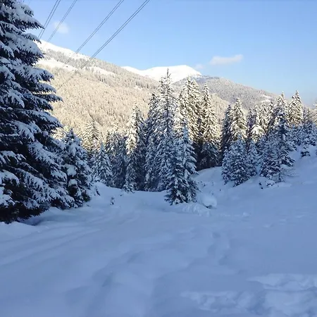 Astn Huetten Residenz Waldsicht -