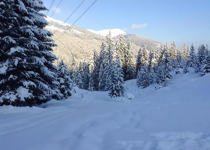 Astn Huetten Residenz Waldsicht -